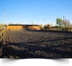 horse training field