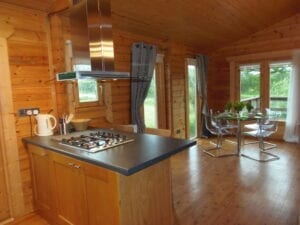 Forest Lodge kitchen and dining room
